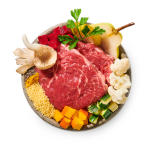 Hovězí kastrol – vařené psí jídlo