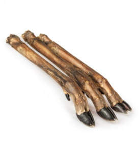 Sušená srnčí noha