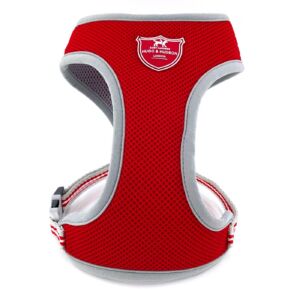 Kšírky pro psy 3D červená