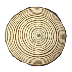 Creatissimo – přírodní dřevěné kolečko s kůrou 10 cm