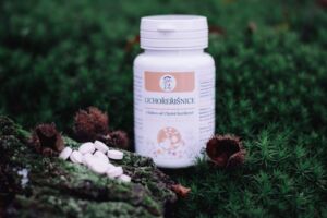 Lichořeřišnice – Bylinářství u Chytré Horákyně – 100 tablet