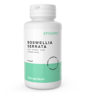 Boswellia Serrata – 90 kapslí- Epigemic®