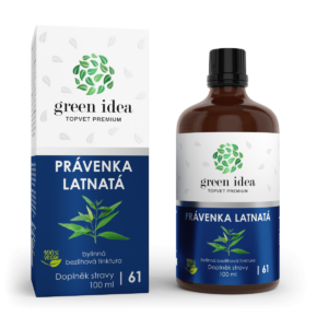 Právenka latnatá – bezlihová tinktura 100 ml – Green idea