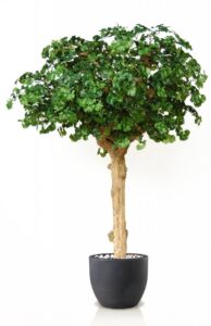 Umělý strom Ginkgo Nidra (250cm)