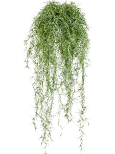 Umělá rostlina Moss Spanish (80cm)