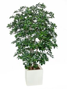 Umělý strom Buxifolia Boschetto (180cm)
