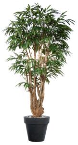 Umělý strom Longifolia Malabar Lux (250cm)