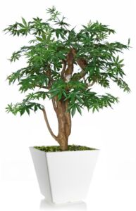 Umělý strom Maple Robustina (90cm) zelený