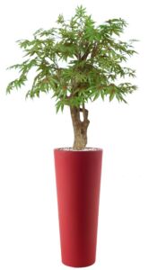 Umělý strom Maple Robustina (90cm) multicolor