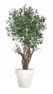 Umělý strom Olive Malabar Lux (250cm)
