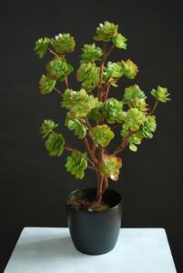 Umělá rostlina Echeveria Bush (75cm)