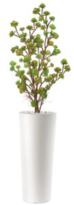 Umělá rostlina Echeveria Plant Lux (120cm)
