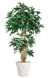 Umělý strom Mango Malabar