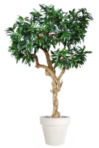 Umělý strom Mango Nidra (250cm)