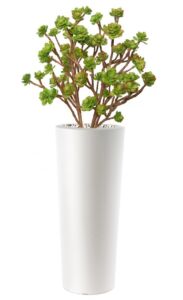 Umělá rostlina Echeveria Bush Lux (80cm)