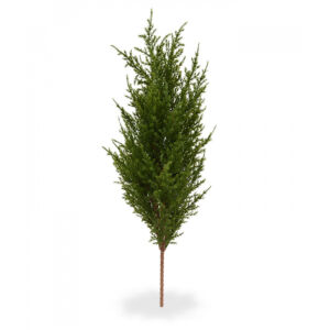 umělá rostlina Cypřiš Thuja (56cm)