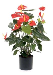 Umělá rostlina Anthurie (80cm)