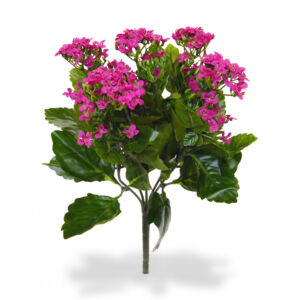 Umělá rostlina Kalanchoe (30cm) – lila