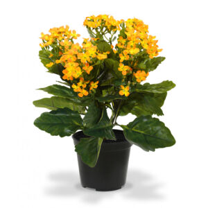 Umělá rostlina Kalanchoe v květináči (30cm) – oranžová
