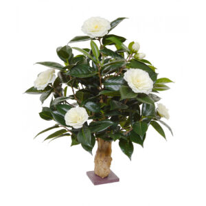 Umělý strom Camellia na kmeni (65cm) – krémová