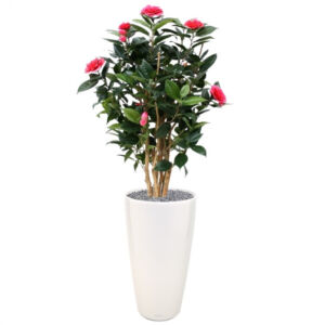 Umělá rostlina Camellia DeLuxe (100cm) – růžová