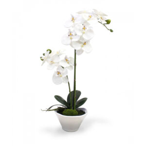 Umělá rostlina Orchidej (50cm) – bílá