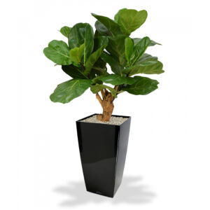 Umělý strom Fikus Lyrata DeLuxe (90cm)