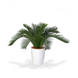 Umělá palma Cycas Baby (30cm)