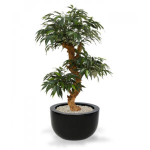 Umělá bonsai Shirakashi (80cm)