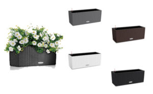 Truhlík Lechuza Balconera Cottage (50cm)