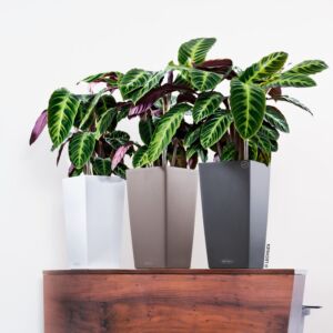 Květináč Lechuza Cubico 22 (41cm)