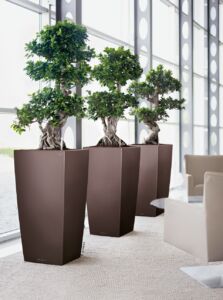 Květináč Lechuza Cubico 50 (95cm)