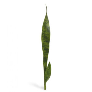 Umělá rostlina Sansevieria (60cm)