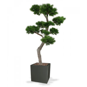 Umělý strom Pinie Bonsai XL (200cm) – UV