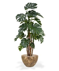 Umělá rostlina Monstera DeLuxe (180cm)
