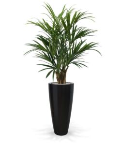 Umělá palma Kentia DeLuxe XL (140 – 190cm)