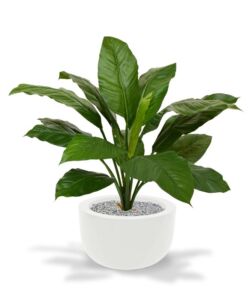 Umělá rostlina Spatiphyllum King (80cm)