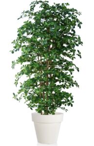 Umělý strom Buxifolia Boschetto (220cm)