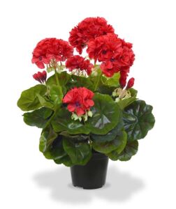 Umělá rostlina Pelargonie (40cm) červená – v květináči