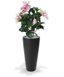 Umělá rostlina Medinella DeLuxe X5 (100cm)