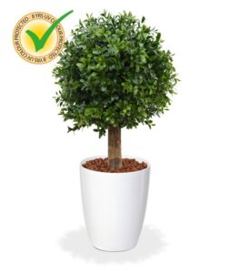 Umělý strom Buxus koule na kmeni – UV  (25/45cm)