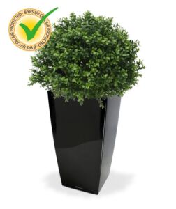 Umělý strom Buxus koule na kmeni – UV  (40/55cm)