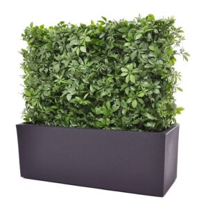 Umělý strom Schefflera plůtek UV (80x25x56cm)
