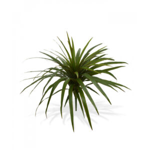 Umělá rostlina Dracena (50cm)