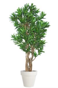 Umělý strom Croton California Malabar (180cm)