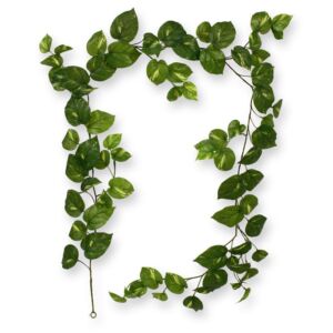 Umělá rostlina Girlanda scindapsus (180cm)