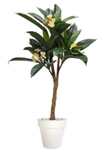Umělý strom Plumeria Florida Plant (150cm)