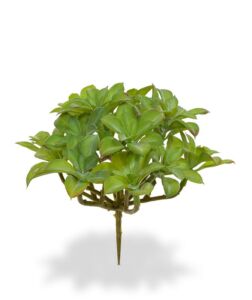 Umělá rostlina Beautertia (15cm)