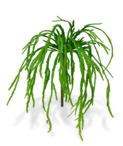 Umělá rostlina Rhipsalis Lepismium (30cm)