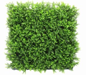 Panel umělý Asplenium Viride (50x50cm)